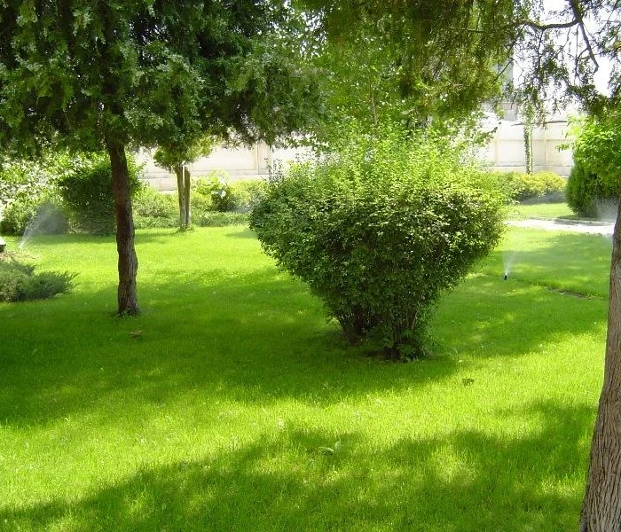 "ЗСК Боруй" АД