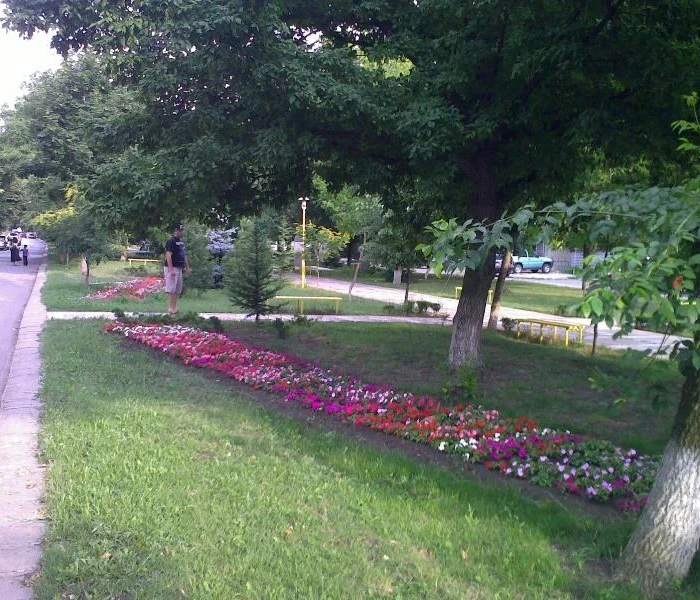 Община Раднево