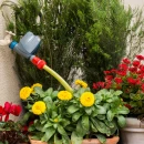 Thumbnail 4 of Програматор Hunter BTT за чешма с Bluetooth® управление