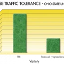 Thumbnail 5 of Тревна смеска Barenbrug RPR за спортни терени 5 kg.