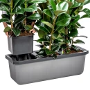 Thumbnail 7 of Голяма саксия с напоителна система Largo Trio за 3 самостоятелни растения