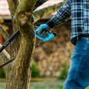 Thumbnail 3 of Трион ERGO™ 533 мм.