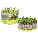 Thumbnail 4 of Съд за покълване на семена Mungo