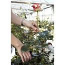 Thumbnail 2 of Универсална цветарска ножица Bellota