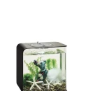 Thumbnail 5 of Комплект за декорация BiOrb Flower Garden