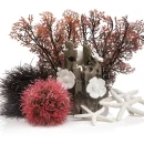 Thumbnail 4 of Комплект за декорация BiOrb Red Forest