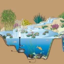 Thumbnail 3 of Помпа AquaMax Eco Classic 8500