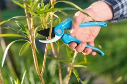 Снимка на Лозарска ножица IDEAL™