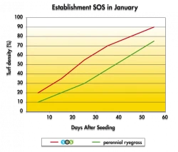 Снимка на Тревна смеска Barenbrug SOS за пресяване 15 kg.