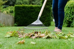 Снимка на Търмък за листа Kent&Stowe 1700 мм.