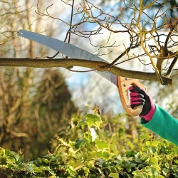 Снимка на Трион