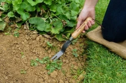 Снимка на Вилица за плевене от въглеродна стомана